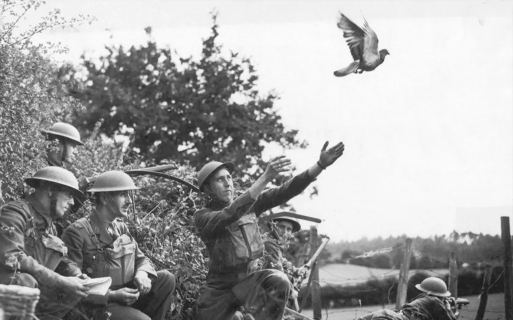 Los Frentes Invisibles