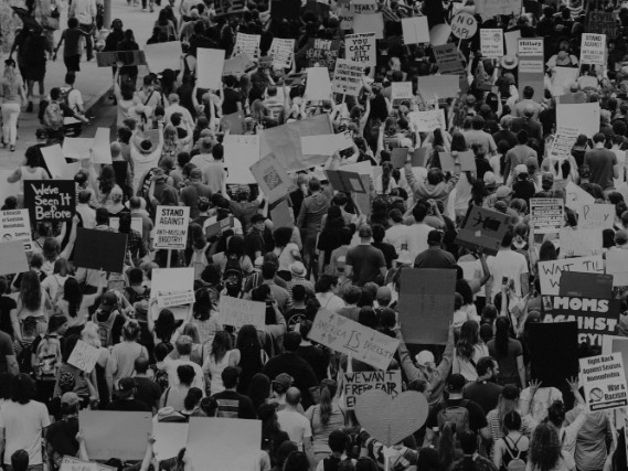 Gobernando el lago&nbsp;digital